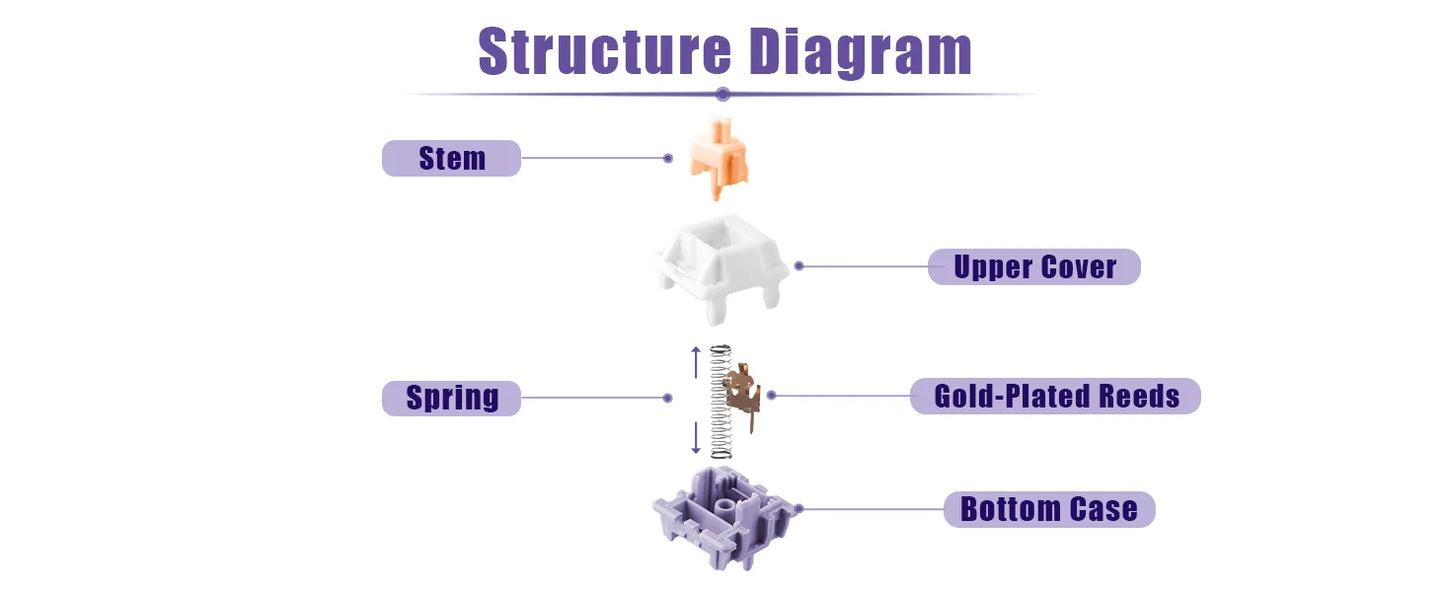 30 Pieces EPOMAKER Wisteria Tactile 46gf 5-Pin Factory Lubed Switch for Hot Swappable Mechanical Gaming Keyboard