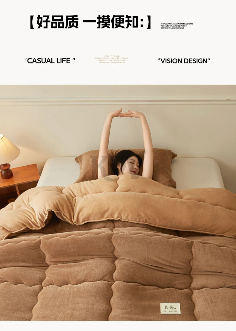 Thickened Milk Velvet Winter Warm Blanket for Bed Queen Size Soft Flannel Quilt Double-Sided Plush Single Double Thick Comforter