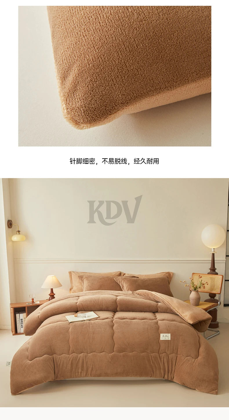 Thickened Milk Velvet Winter Warm Blanket for Bed Queen Size Soft Flannel Quilt Double-Sided Plush Single Double Thick Comforter